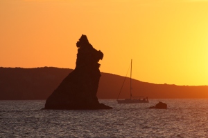 Funny bunny rock in the sunset